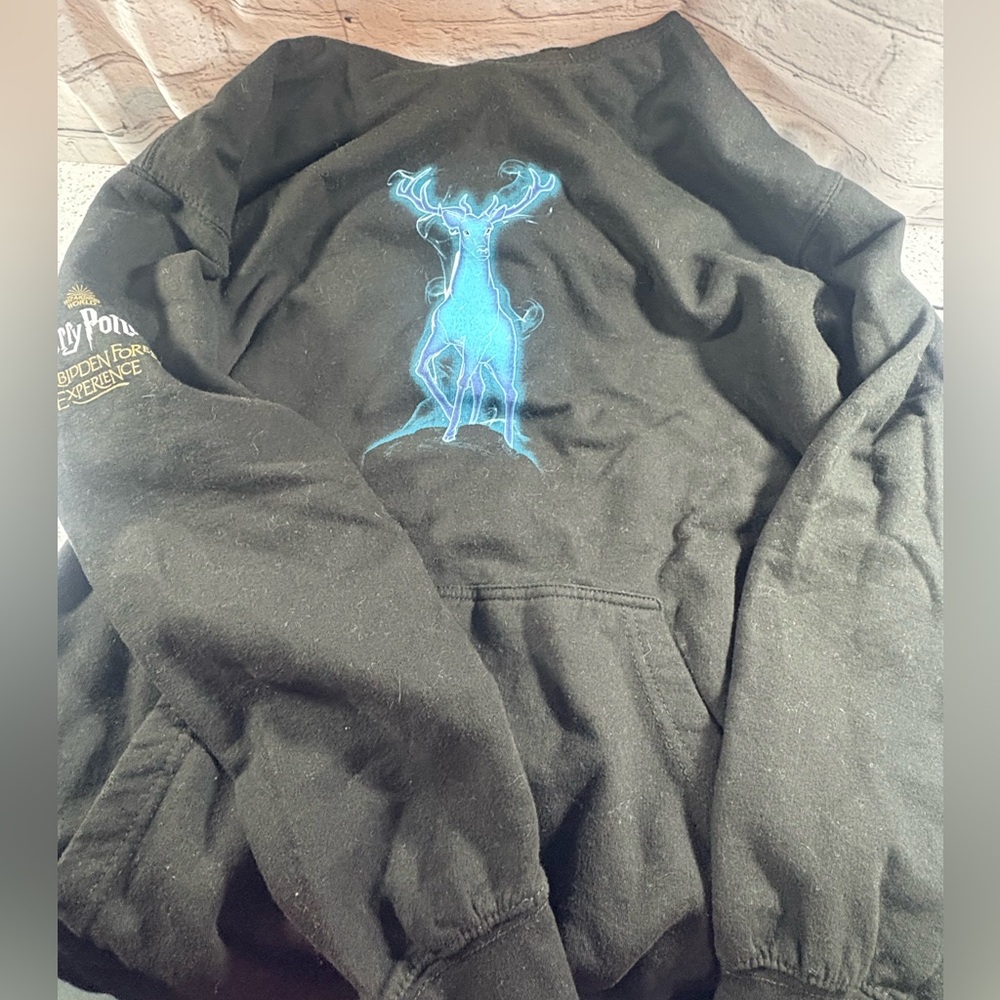 Harry Potter/ The Forbidden Forest Experience Hoodie